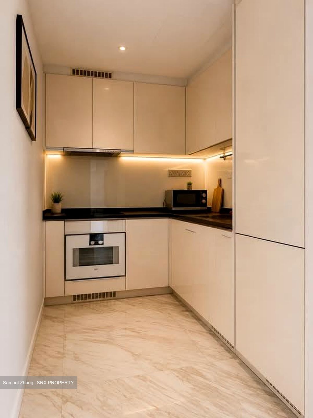 Wallich Residence  (D2), Condominium #568758901